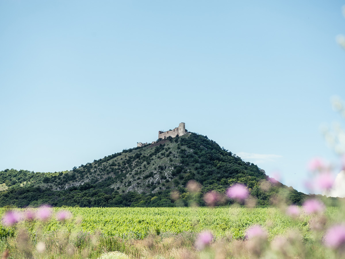 Okolí apartmánu Aurélius na Perné
